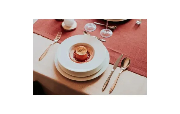 COUZON EPSILON MENAG C50600WV35C40